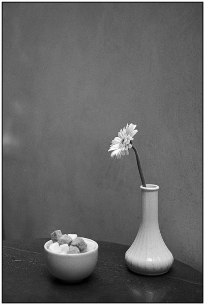 <em>Flower Vase, National Portrait Gallery</em>