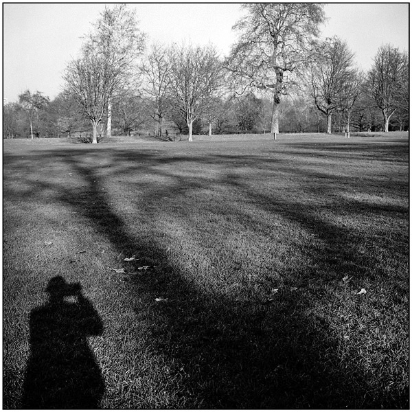 <em>Shadows, Hyde Park, London</em>