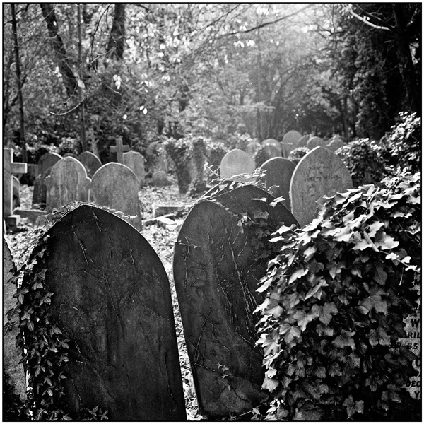 <em>Highgate Cemetery, graves</em>