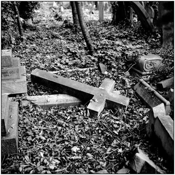 <em>Fallen Cross, Highgate Cemetery</em>