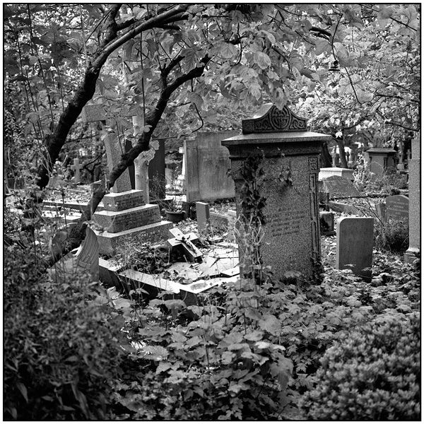 <em>Grave with Cross, Highgate Cemetery</em>