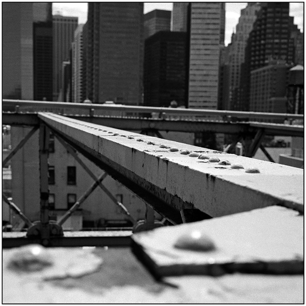 <em>New York Buildings over Brooklyn Bridge Girders</em>