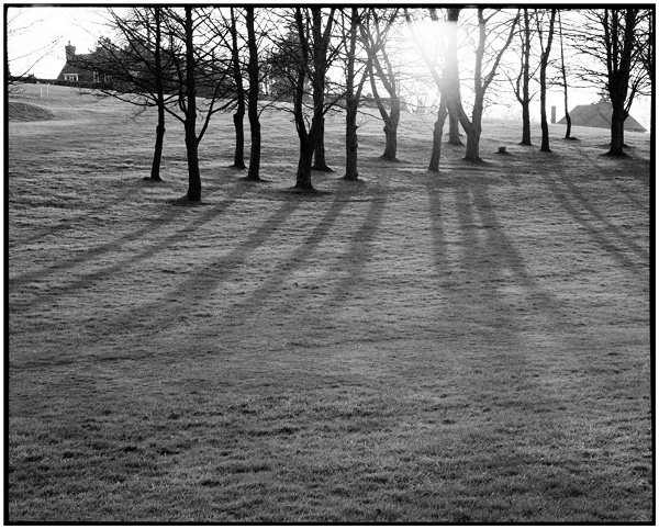 <em>Shadows on golf course</em>